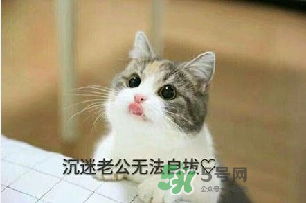 南方老公和東北老公哪個好？南方老公和東北老公的區(qū)別