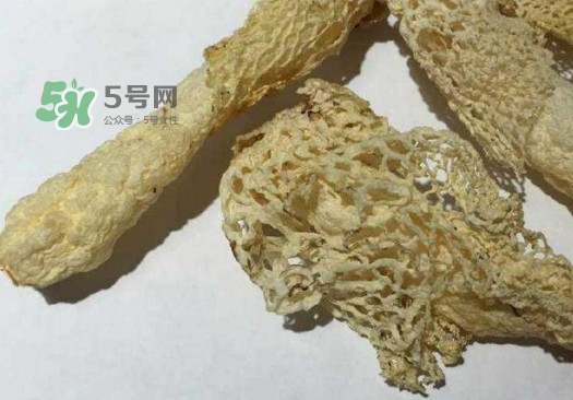 干竹蓀怎么處理？干竹蓀怎么清洗