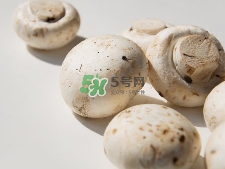 白蘑菇是什么種類(lèi)？白蘑菇怎么洗才洗得干凈