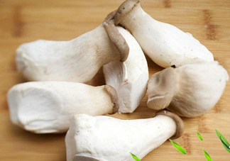 杏鮑菇是發(fā)物嗎？杏鮑菇怎么切好看