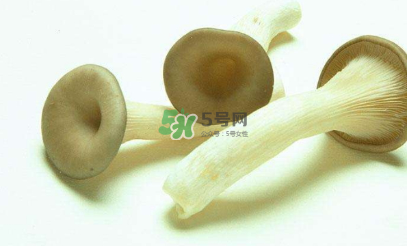蘑菇不能和茄子一起吃嗎？蘑菇不能和什么一起吃？