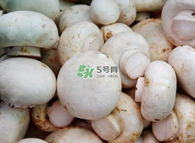 蘑菇變黑了還能吃嗎？蘑菇怎么保存？