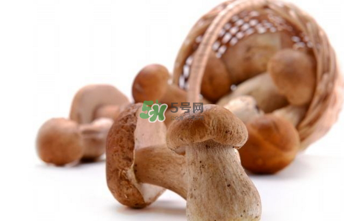 蘑菇能放冰箱嗎？蘑菇能放冰箱多長時間？