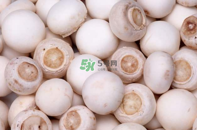 蘑菇能放冰箱嗎？蘑菇能放冰箱多長時間？