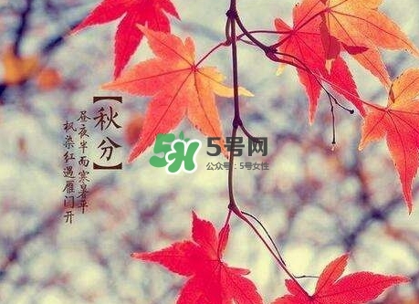 秋分是秋天到了嗎_秋分開(kāi)始入秋了嗎_秋分是秋天開(kāi)始嗎
