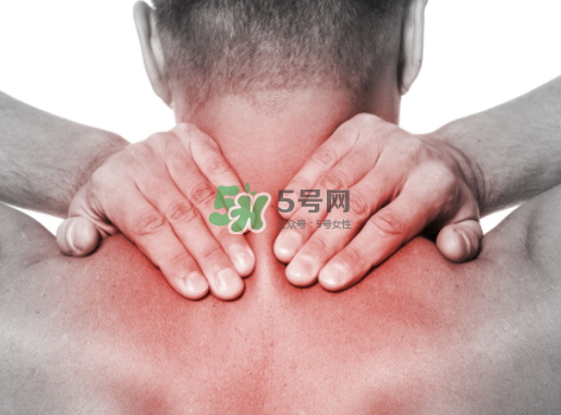 碧緹福護(hù)頸儀多少錢？碧緹福護(hù)頸儀價格