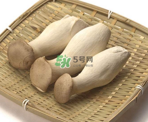 杏鮑菇用水焯嗎？杏鮑菇怎么做好吃