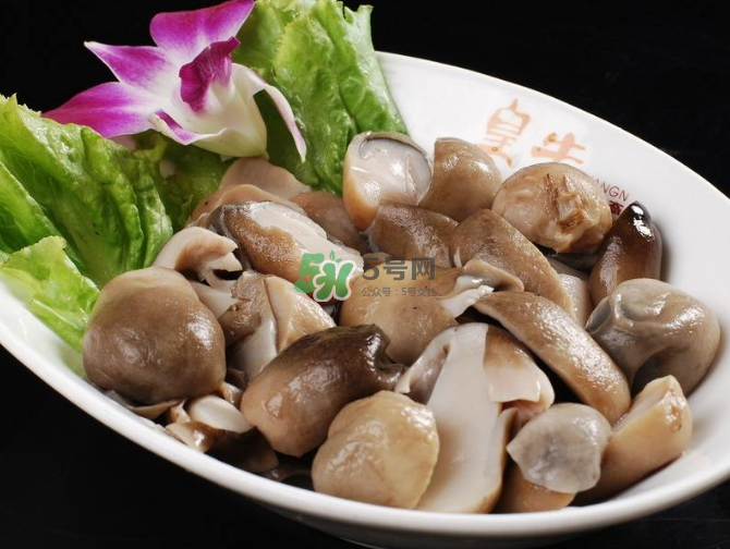 草菇孕婦能吃嗎？草菇要煮多久可以吃？