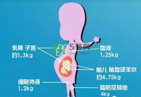 孕期體重增長標(biāo)準(zhǔn) 孕期體重增長過快怎么辦？
