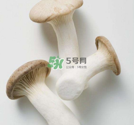 杏鮑菇用水焯嗎？杏鮑菇怎么做好吃