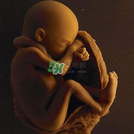 臍帶繞頸是什么意思？臍帶繞頸兩周怎么糾正？