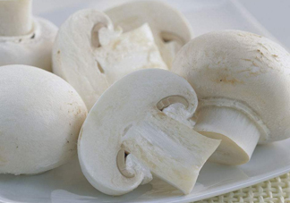 白蘑菇是什么蘑菇？白蘑菇有毒嗎