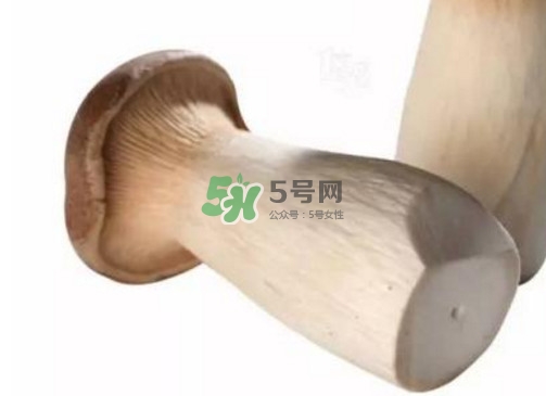 杏鮑菇有苦味還能吃嗎？杏鮑菇有酒味是壞了嗎