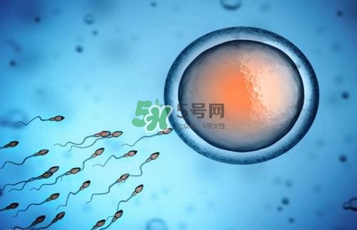 精子在女性體內(nèi)可以存活多久？男性的精子會枯竭嗎？