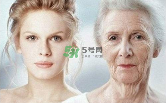 抗氧化是抗衰老嗎？抗氧化是不是就等于抗衰老？