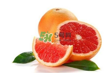 葡萄柚是什么季節(jié)的水果？葡萄柚是柚子嗎