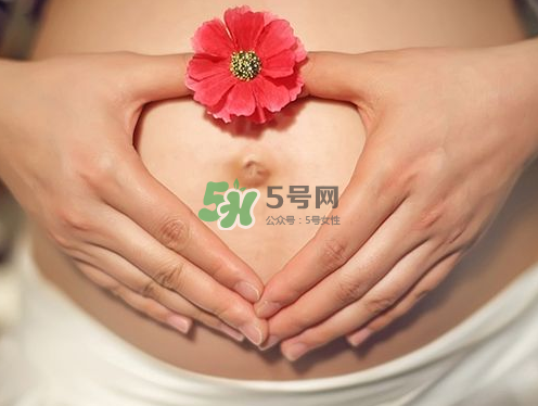 秋天孕婦可以吃絲瓜嗎？秋天孕婦吃絲瓜好嗎？