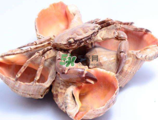 螃蟹殼里的東西是什么？螃蟹殼里什么不能吃？