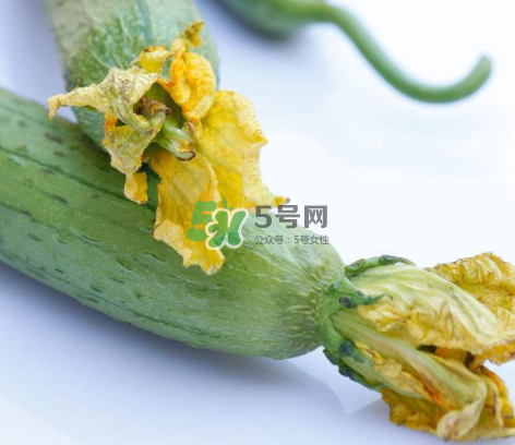 秋天絲瓜有毒嗎？秋天絲瓜能吃嗎？
