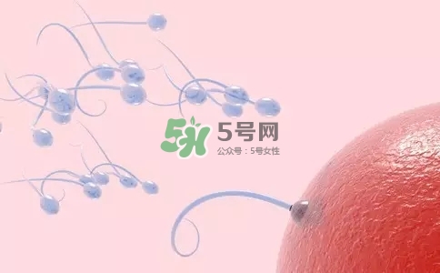 精子在女性體內(nèi)可以存活多久？男性的精子會枯竭嗎？