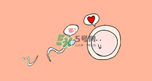 精子在女性體內(nèi)可以存活多久？男性的精子會枯竭嗎？