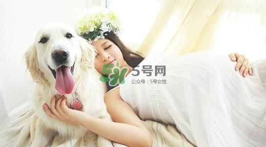 孕婦不能養(yǎng)寵物嗎？為什么孕婦不能養(yǎng)寵物？