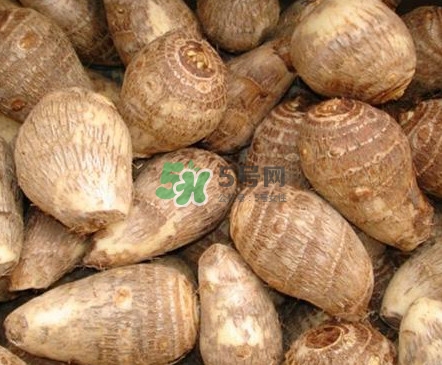 香芋如何種植？香芋的種植方法
