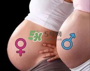 為什么孕婦的肚子有尖有圓？孕婦肚子尖圓對(duì)照?qǐng)D