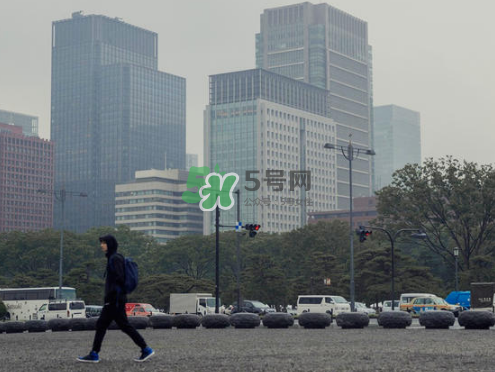 citera是什么牌子？citera是什么檔次？