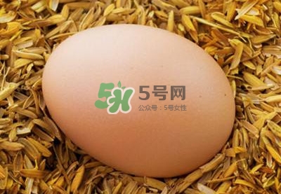 芝麻醬和雞蛋能一起吃嗎？雞蛋可以和芝麻醬一起吃嗎