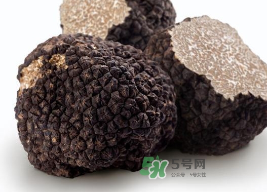 松露是什么樣子的？松露是怎么形成的