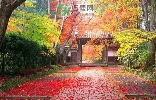 白露是寒露嗎？白露和寒露的區(qū)別