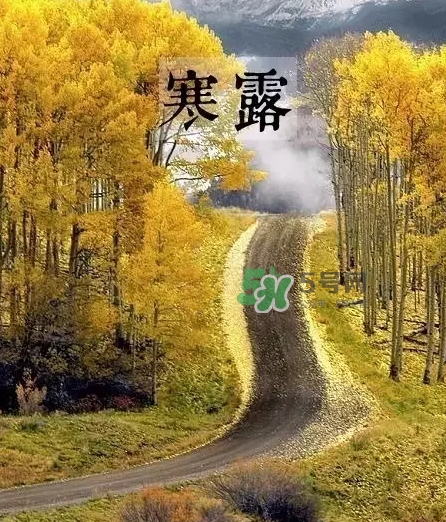 白露是寒露嗎？白露和寒露的區(qū)別