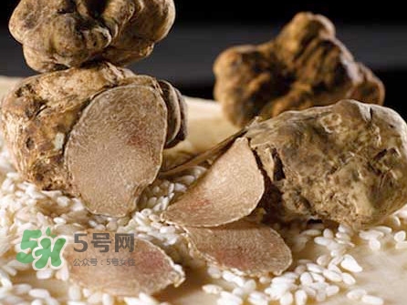 松露為什么那么貴？松露為什么這么貴？