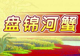 盤錦河蟹批發(fā)市場(chǎng)在哪？盤錦河蟹哪里最正宗？