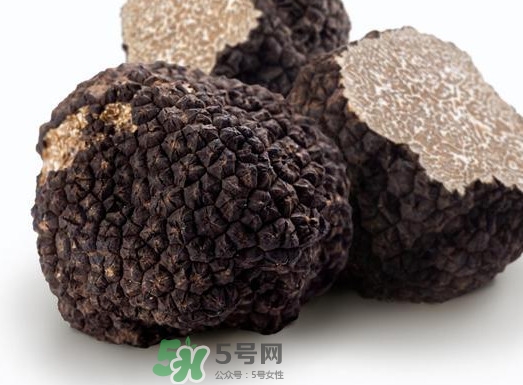 松露產(chǎn)地在哪里？松露有什么作用