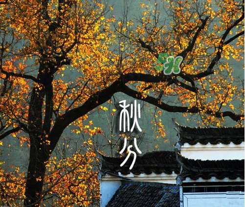 2017秋分會(huì)下雨嗎？2017秋分下雨好不好？