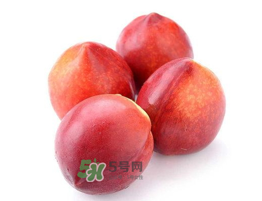 九月份還有桃子嗎？9月份成熟的桃子有幾種？
