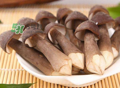 é›žæ¨…èŒä»€ä¹ˆäººä¸èƒ½åƒï¼Ÿé›žæ¨…èŒå“ªäº›äººèƒ½åƒ