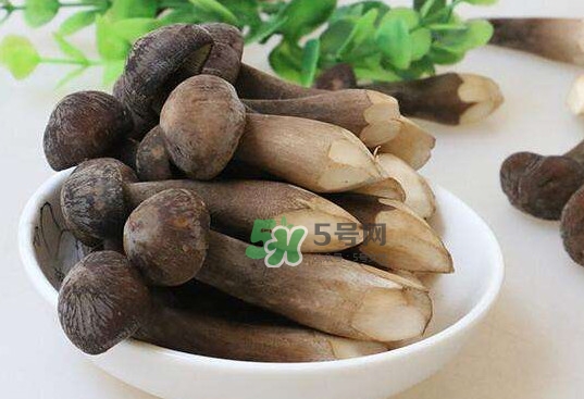 雞樅菌和松茸哪個更好？雞樅菌有什么營養(yǎng)