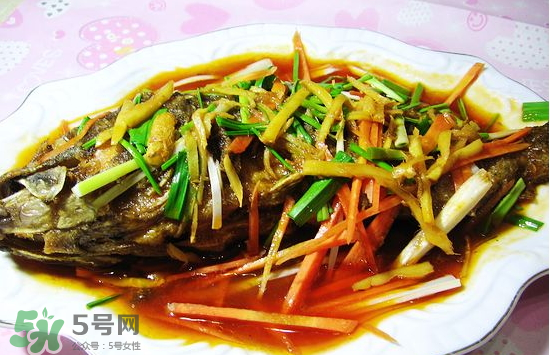 黑魚(yú)能愈合傷口嗎？黑魚(yú)為什么對(duì)傷口愈合？
