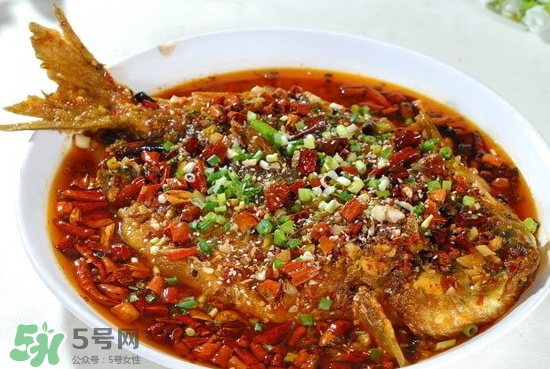 黑魚(yú)能愈合傷口嗎？黑魚(yú)為什么對(duì)傷口愈合？