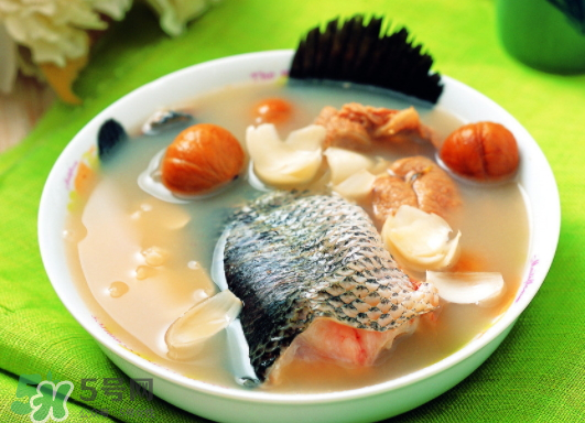 黑魚(yú)能愈合傷口嗎？黑魚(yú)為什么對(duì)傷口愈合？