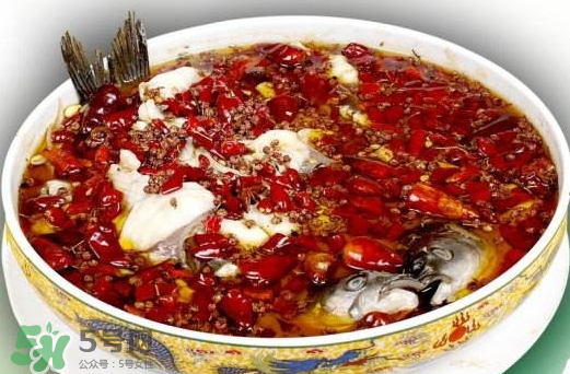 鯉魚可以做水煮魚嗎？水煮鯉魚的做法
