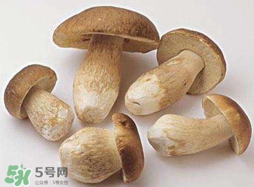 牛肝菌要泡發(fā)多久？牛肝菌怎么清洗