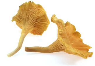 雞油菌怎么清洗？雞油菌要焯水嗎