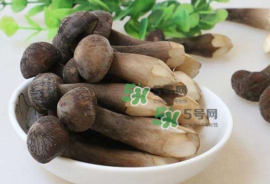 雞樅菌多少錢一斤？干雞樅菌多少錢一斤