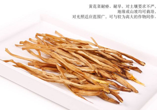 新鮮黃花菜怎么保存？干黃花菜怎么保存
