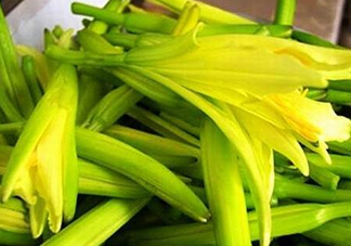 黃花菜開(kāi)花了還能吃嗎？開(kāi)花的黃花菜可以吃嗎