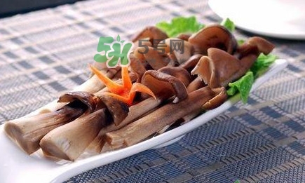 雞樅菌和松茸哪個更好？雞樅菌有什么營養(yǎng)